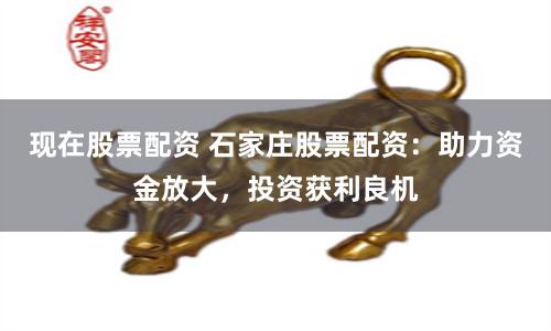 现在股票配资 石家庄股票配资：助力资金放大，投资获利良机