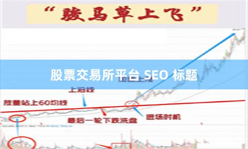 股票交易所平台 SEO 标题