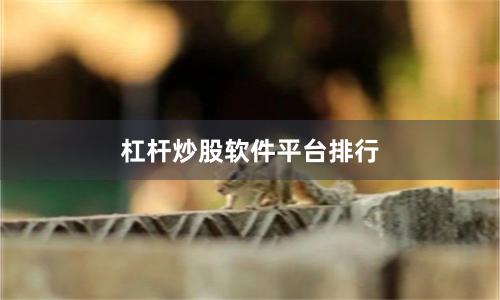 杠杆炒股软件平台排行